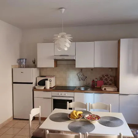 公寓 Delfin 扎达尔