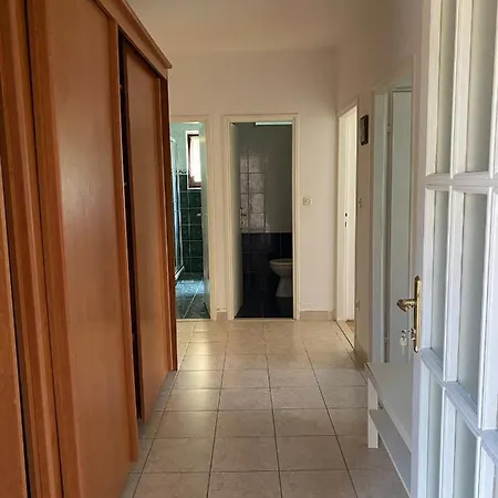 Delfin Apartment *