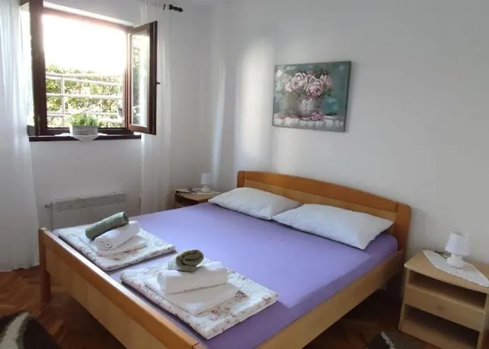 Delfin Apartment *
