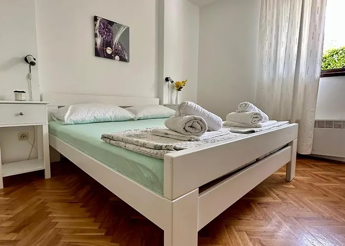 Delfin * Zadar